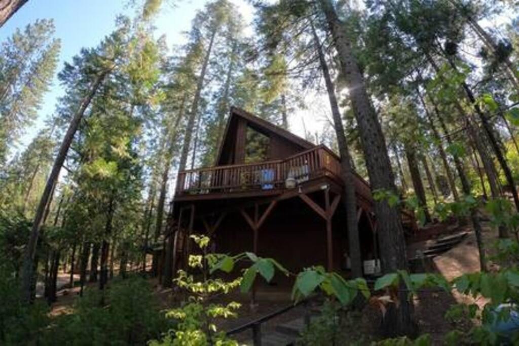 Pinecrest A-Frame Family Fun Near Dodge Ridge Villa Long Barn Exterior foto